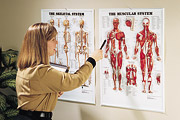 Medical Promotion@Õȋ