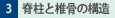 3.Ғƒō̍\