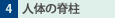 4.l̂̐Ғ