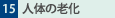 15.l̘̂V