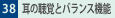 38.̒oƃoX@\