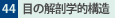 44.ڂ̉UwI\