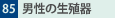 85.j̐B
