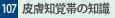 107.畆moт̒m